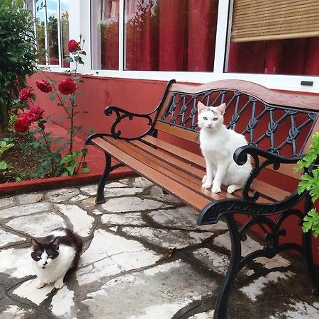 Semeli Hotel - Adults Only Roda  Exterior foto