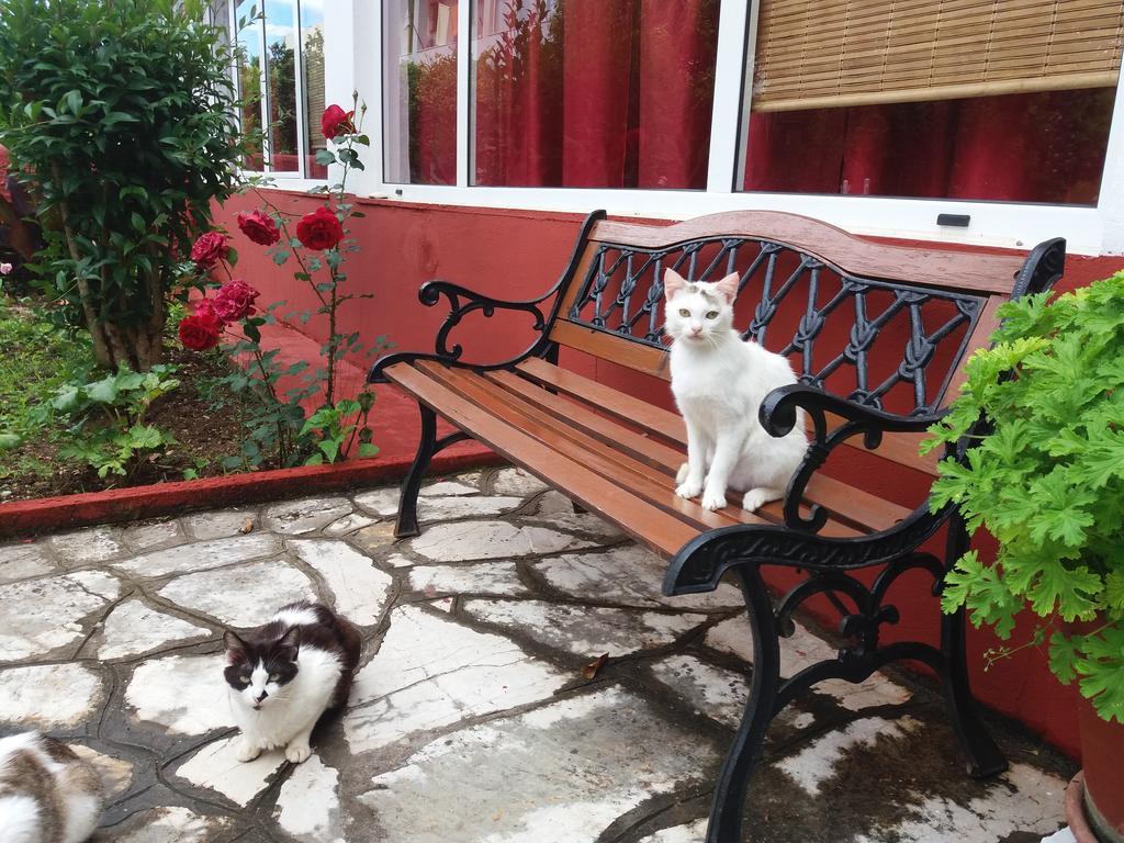 Semeli Hotel - Adults Only Roda  Exterior foto